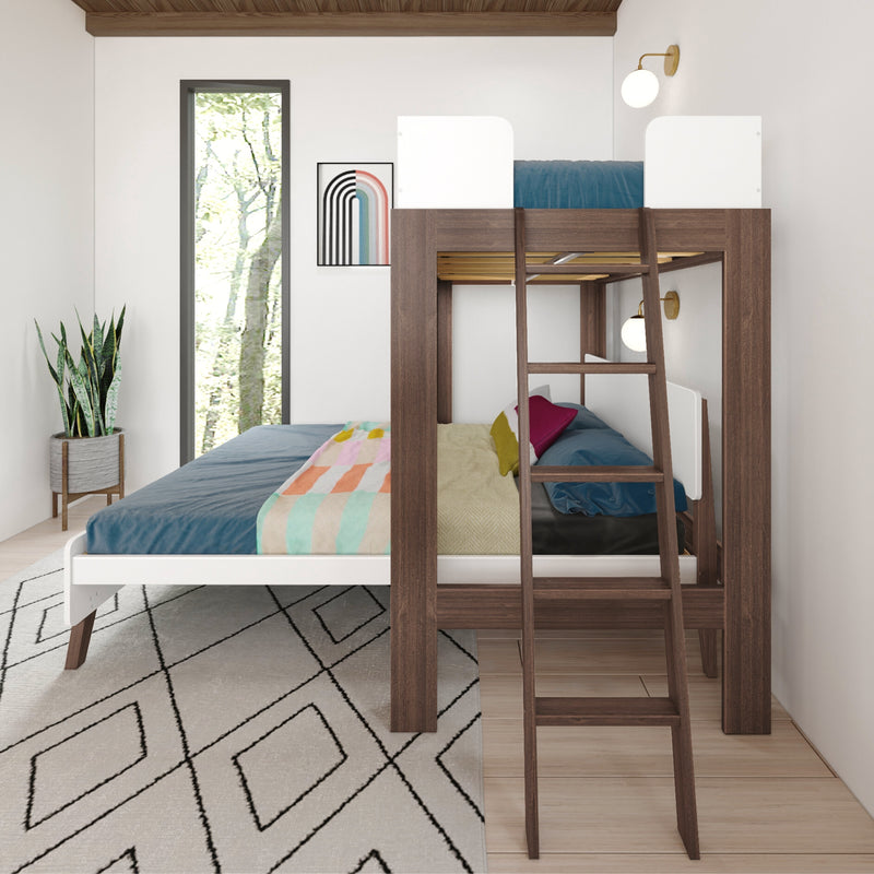 Modern wooden loft bunk bed in bright kids' bedroom with teal bedding, colorful throw, potted snake plant and geometric rug