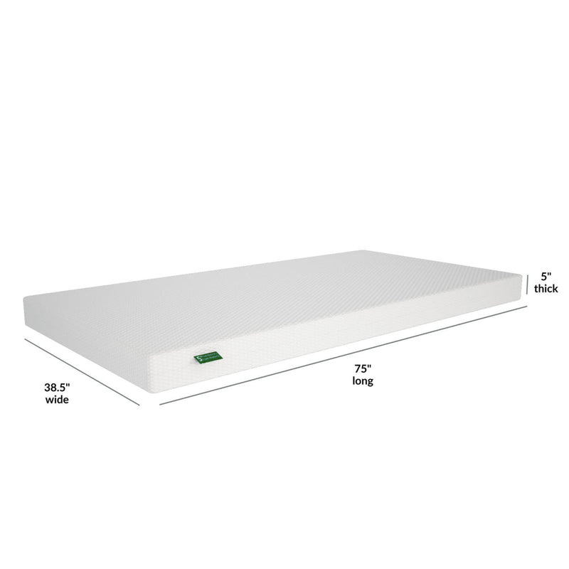 5-inch twin foam mattress (38.5 x 75 inches) with white textured cover and green label — low-profile twin mattress ideal for beds, RVs, and guest rooms