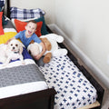 Smiling young boy in a kids' bedroom lying on a bed with a small white dog and stuffed animal on navy cross-patterned sheets and colorful pillows