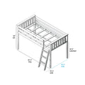 Isometric assembly diagram of a wooden twin loft bed with ladder, slatted headboard and guardrails, 50" tall, 81.5" long, 42.5" wide and 33.25" underbed clearance — kids loft bed furniture diagram