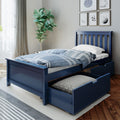 Navy blue wooden twin bed with pull-out storage trundle and blue striped bedding in a modern kids' bedroom with a potted fiddle-leaf fig, neutral curtains, and framed sports wall art