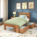Wooden twin storage bed with pull-out drawers, sage green bedding and pillows, bedside lamp and floral framed art on blue paneled accent wall