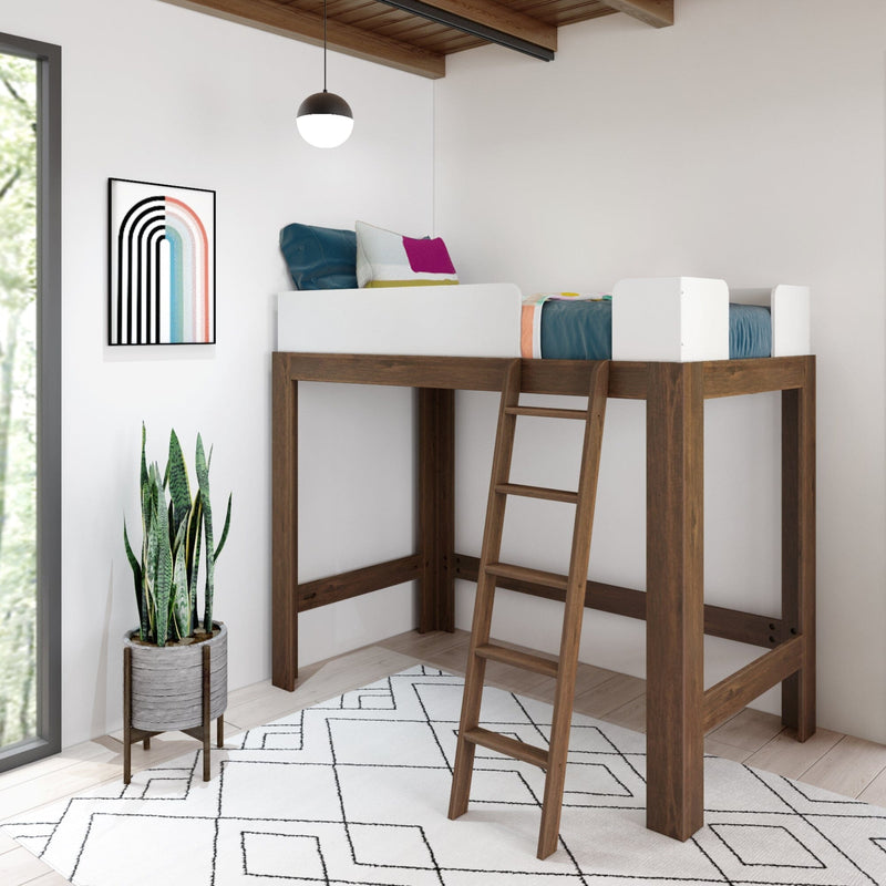 Modern wooden loft bed with ladder in a minimalist kids' bedroom, geometric rug, snake plant, hanging pendant light and framed rainbow wall art