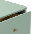 Close-up of mint green wooden dresser drawer with brass knob and rounded top edge, modern minimalist bedside chest detail