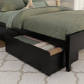 Scandinavian Queen Bed with Underbed Storage Drawers