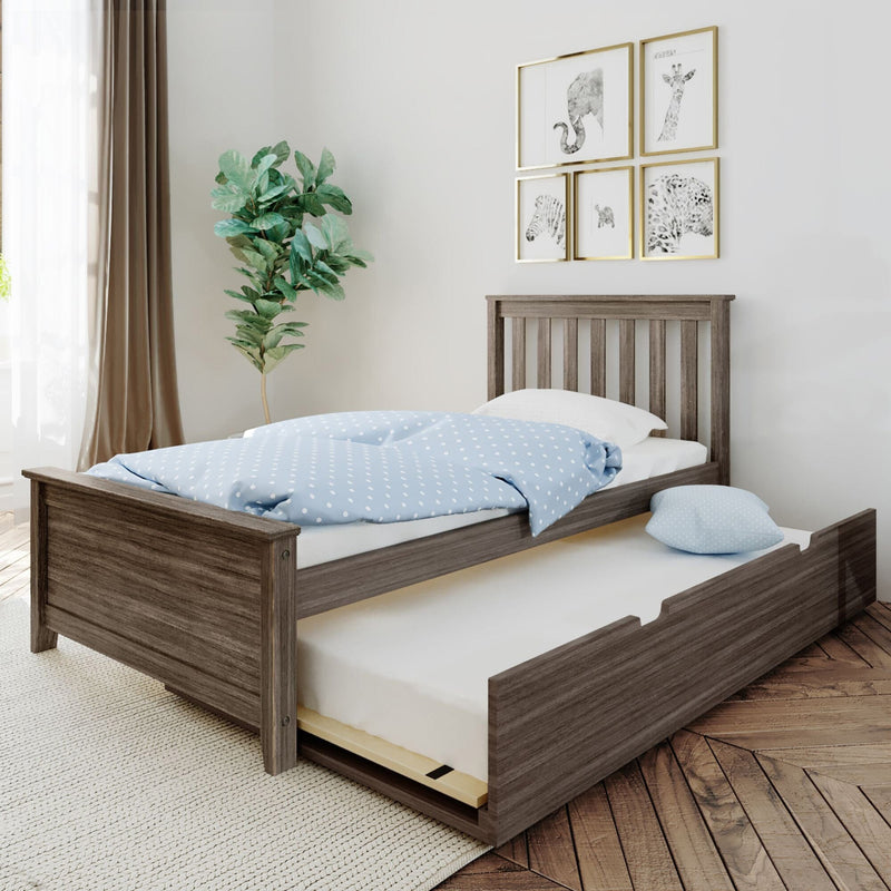 Wooden trundle twin bed with blue polka-dot bedding in a modern children's bedroom featuring gold-framed animal wall art and a potted fiddle leaf fig